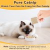 RAINFLOW 80PCS Catnip - Cat Nip for Cats Natural Dried