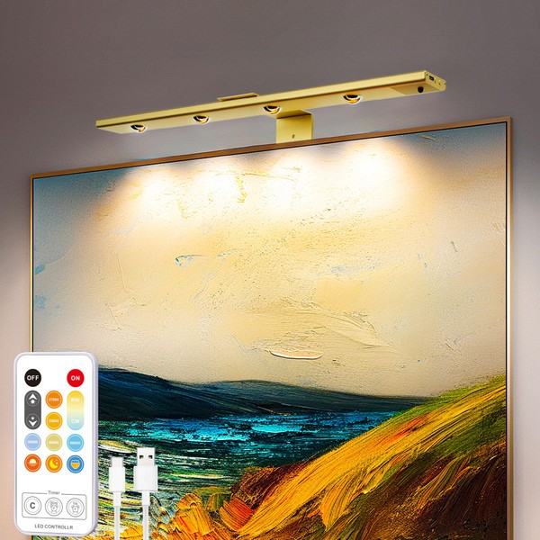 Rinfency Gold Rechargeable Battery Operated Picture Light Bulb with Remote,
