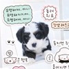 Iconic 아이코닉 이겨낸다 말풍선 스티커팩 v2(일상 감정 다꾸 스꾸 폴꾸