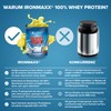 IronMaxx 100% Whey Protein Powder, Lemon Yoghurt 500 g Bag,