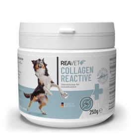 ReaVET Collagen Reactive Joint Powder for Dogs 250 g - Premium Quality Collagen Dog, Gelatin for Dogs, Joint Powder Dogs, Collagen Powder Dog, Fish Collagen for Joints
