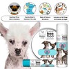 The Blissful Dog Chinese Crested Boo Boo Butter, 16 oz.