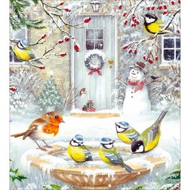 Charity Christmas Cards - Supporting Age UK, British Heart Foundation, Marie Curie and Mind - Pack of 5 - Robin and Blue Tit Winter Birdbath - Made in the UK - Eco-Friendly