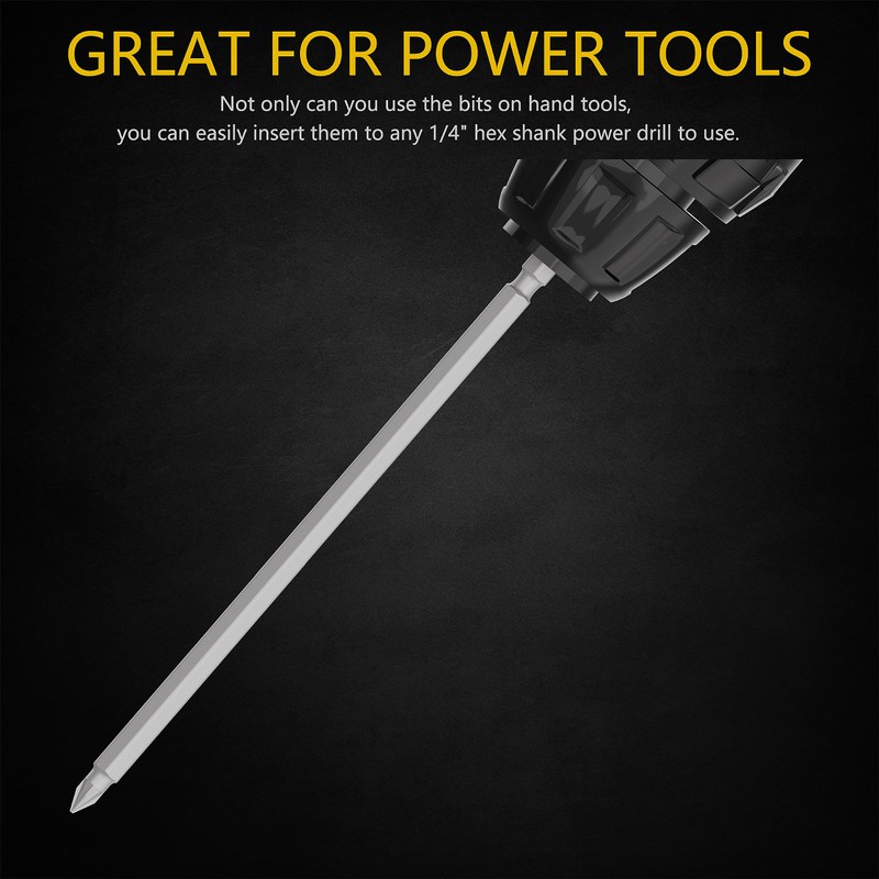 Renekton Extra Long Security Power Bit Set, 1/4" Shank, 6"