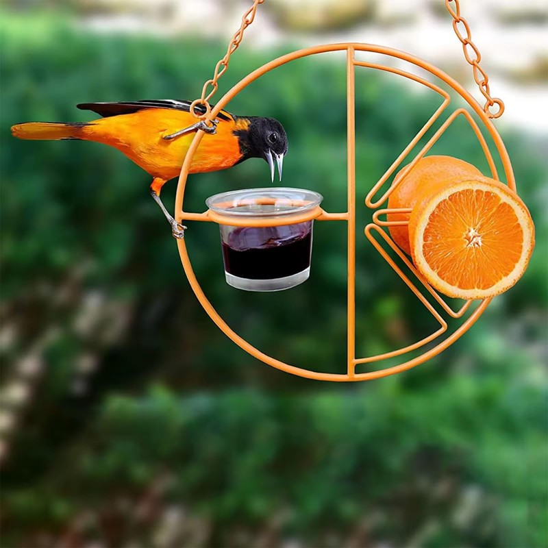 AIMALL Decorative Hummingbird Feeder with Orange Citrus Design – 7.08”