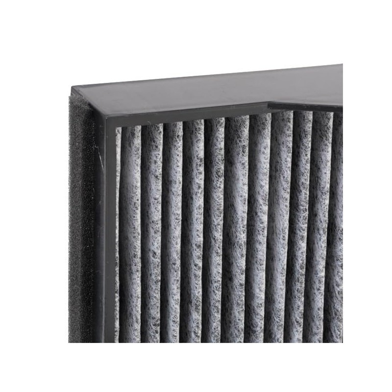 RIDEX 424I0189 Innenraumfilter Pollenfilter Aktivkohle