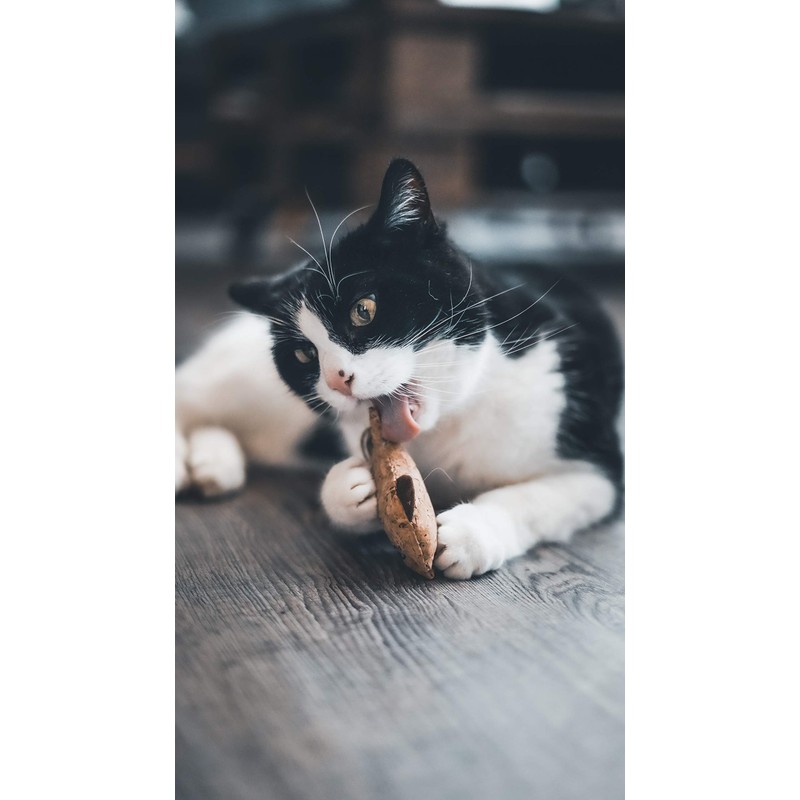 Aime 9cm Natural Cork Cat Toy with Catnip for Claws