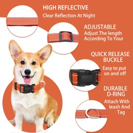 Maiiu Reflective Dog Collar with Safety Locking Buckle, Adjustable Soft Breathable Nylon Collars for Small, Medium and Large Dogs(Collar+Leash XS Width 5/8" Orange)