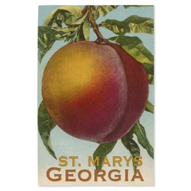 Lantern Press 16x24 Inch Giclee Print, St. Marys, Georgia, Vintage Lithograph