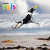 Fancy Pets Juguete Chew Geobola para Perro