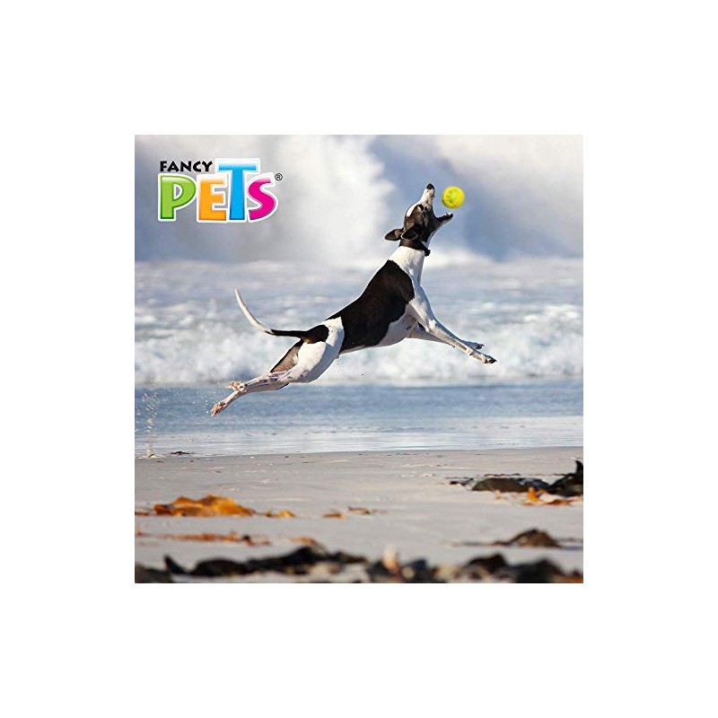 Fancy Pets Juguete Chew Geobola para Perro