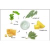 Bio-Soothing Cream (Green) (702) | RAYA