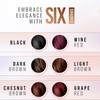 Herbishh Light brown Hair Color Shampoo 2 Travel Pack Combo