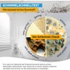 Mold test for your home – Test up to 10