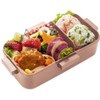 Skater PFLB6AG-A Bento Box, 18.9 fl oz (530 ml), Antibacterial,