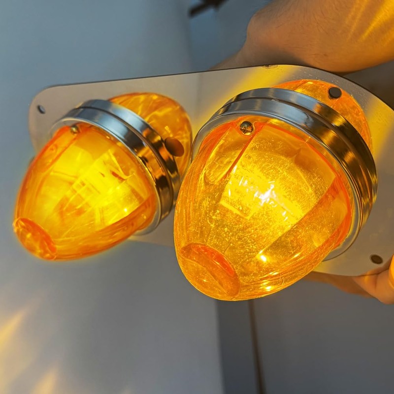 WIKIBB For Peterbilt 359/379/389 W900L Cab Dome Light Panel Frame
