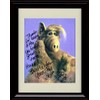 Alf Autograph Promo Print - Portrait - Framed 8x10