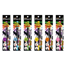 Bic Japan ST2022SP-05 2-in-1 Intensity Dual Tip Marker, Colorful Color, Set of 6