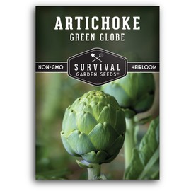 1 Pack Green Globe Artichoke Seeds for Planting with Instructions to Grow Perennial Cynara Scolymus in Your Home Vegetable Garden - Non-GMO Heirloom - Survival Garden Seeds