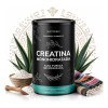 Creatina Monohidratada Micronizada 450g | Alta Pureza | Gym