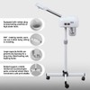 Professional Facial Steamer, Esthetician Steamer for Beauty Salon Home, Hot