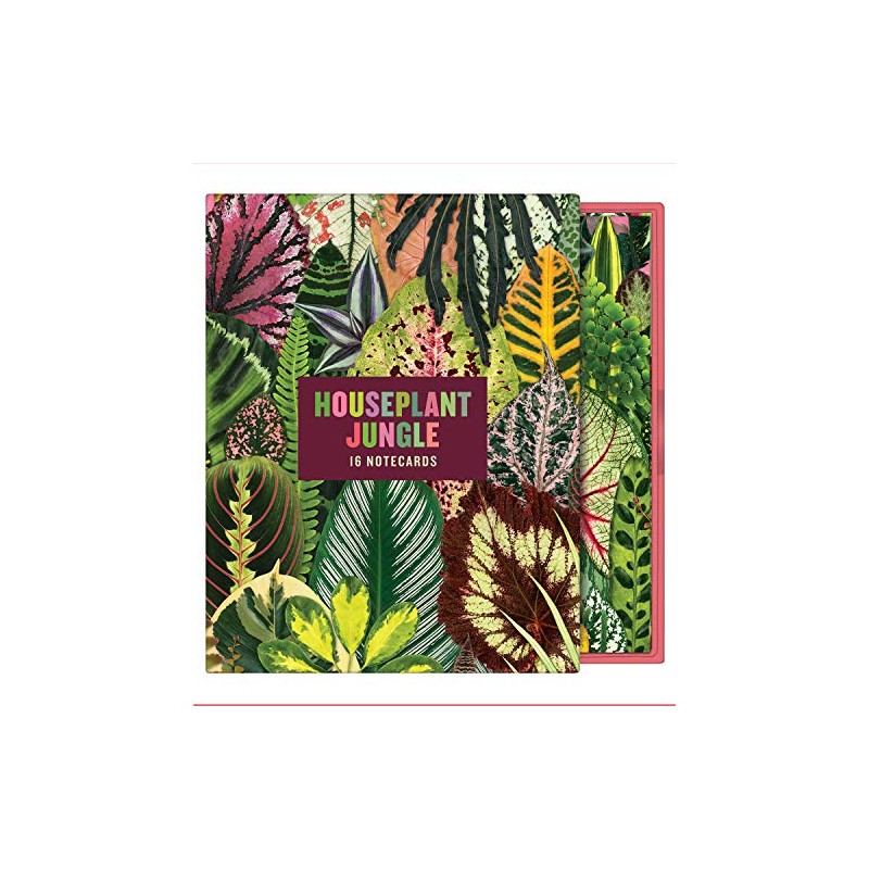 Houseplant Jungle Greeting Assortment Notecards