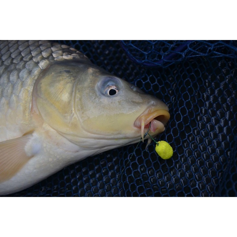 Haldorado SpéciMethod Rig8, Barbless Hook, 10 cm Mono Line, 10