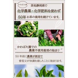 Hojicha Tea Leaves No Pesticides For 50 Years, Caffeinated Tea Yabukita, 3.5 oz (100 g)