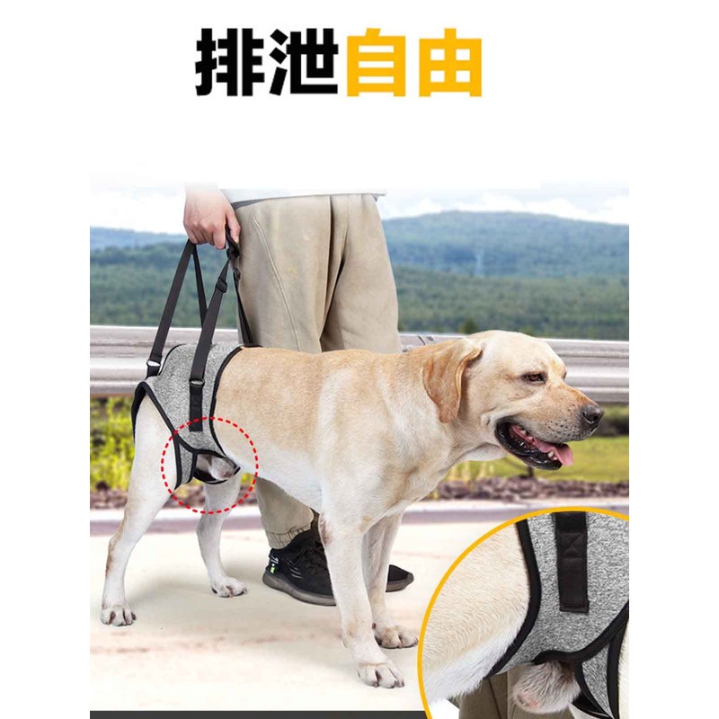 Dog Care Harness, Dog Harness, Waist Band, For Large Dogs,