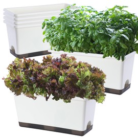 Window Box Planter 6 Pcs, 17 Inches Rectangle Flower Pots with Drainage Holes and Trays, Vegetable Planters for Windowsill Patio Garden Balcony Home Porch Yard Indoor Outdoor (White, 17*7.4*7.8 inch)