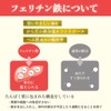 フェリチンセレクト 鉄 10mg フェリチン鉄 ヘム鉄 葉酸 ビタミンC サプリメント 漢方生薬研究所 (1袋)