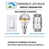 G45 G14 4W Dimmable Silver Tipped LED Filament Half Chrome