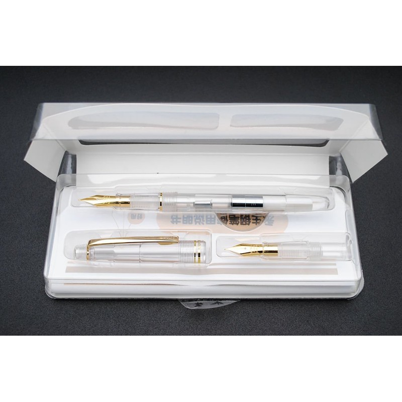 czxwyst 659 Double Nibs Fountain Pen (Transparent with Golden Clip)