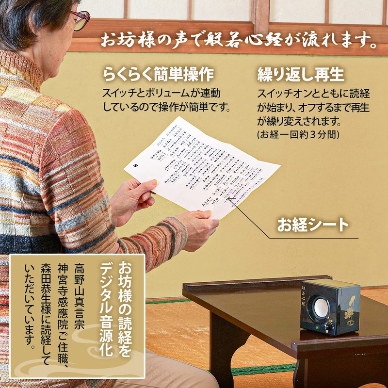 Asahi Denki Kasei Sutra Flowing Speaker 2 ANS-603