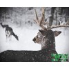 Hot Doe - Doe in Heat Buck Attractant -