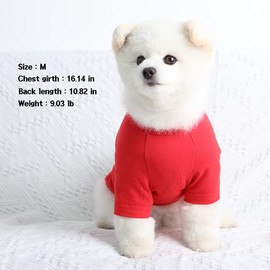 Lucky Petter Dog Shirt for Small Dogs Plain T-Shirts Soft Breathable Dog Cotton Shirt pet Clothes (Small, Red)