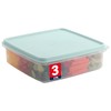 SIGNORA WARE Plastic Storage Container with Lid – 3L Cupcake