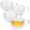 GURUDAR Double Wall Insulated Glass Tea Cups Set of 4,