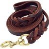 RC GearPro Leather Dog Leash for Small Medium Large Dogs