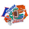 9PCS Florida Iron On Patches，Embroidered Applique Football for Jeans, T-Shirts,