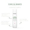Goldwell Dualsenses Curls & Waves Hydrating Shampoo 300mL