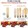 LiteHistory Dimmable T10 LED Bulb 4W Equal E26 Edison Bulb