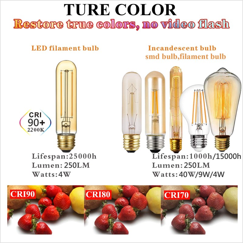 LiteHistory Dimmable T10 LED Bulb 4W Equal E26 Edison Bulb