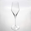 stolzle champagne glasses, clear, 9.8 fl oz (290 ml), "Quatrophil"
