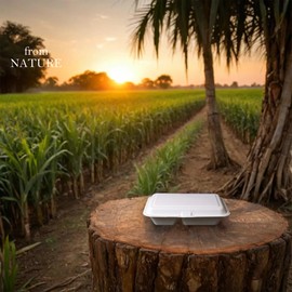 Greensoil 9x6 Compostable Food Containers with Lids, Multi Compartment Food Container, 100 Pack - Durable, Microwave & Freezer Safe, BPI Certified Biodegradable To Go Food Containers