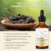 Sérum Inhibidor Capilar Daisans Cyperus Rotundus Oil 60 Ml
