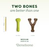 Benebone 2-Pack Bacon Wishbone/Rubber Bone Medium