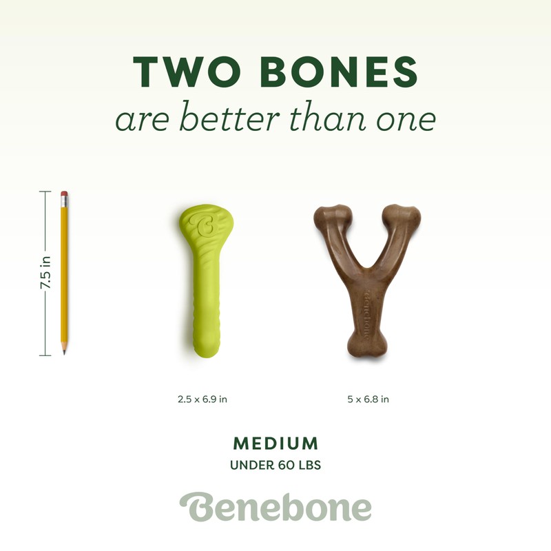 Benebone 2-Pack Bacon Wishbone/Rubber Bone Medium