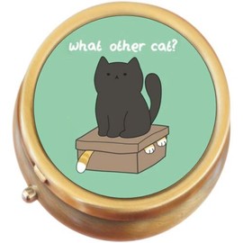 What Other Cat Brass Round Pill Box