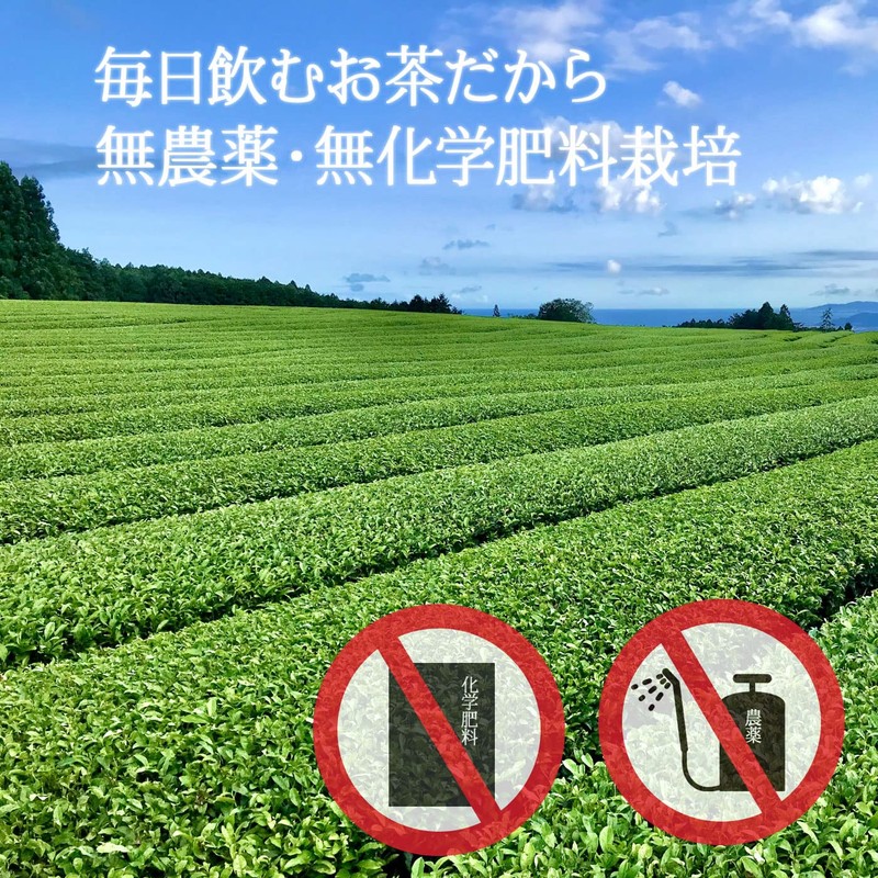Organic Tea, Shizuoka Tea, No Pesticides, No Chemical Fertilizers, 100%